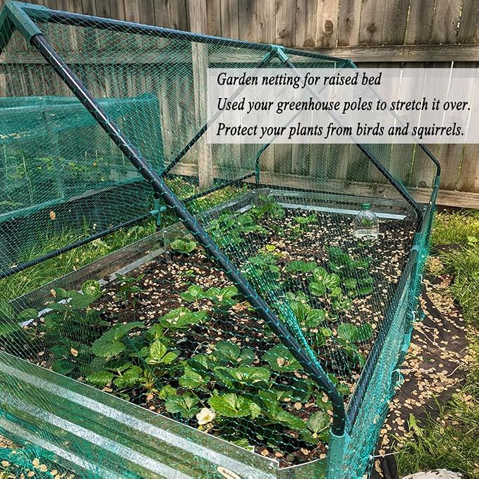 Bird Netting for Garden 6.5X50 FT, 1/4 Inch Mesh, Protect Blueberry, Strawberry, Tomatos, Vegetables. Fruit Tree Netting for Cicadas Against Deers, Squirrels, Bunnies, and Small Critters.