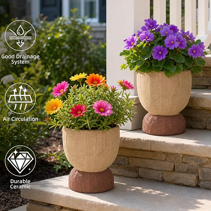 DREAMLOOM 2Pcs Flower Pot with Drainage Holes, 6.4Inch Terracotta & Coarse-Grained Planters for Succulents, Cactus Aloe, Herbs, Orchid, Vintage Color