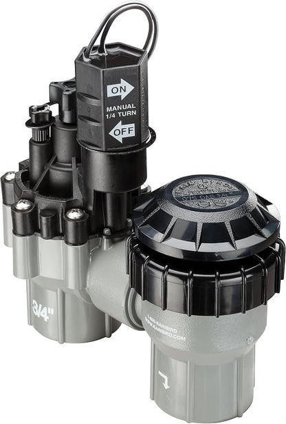 Rain Bird DASASVF075 Professional Grade Anti-Siphon Valve with Flow Control,3/4" Threaded Female x Female,(Pack of 5)