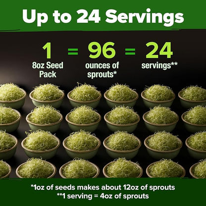 HOME GROWN Alfalfa Sprout Seeds 8 oz Bulk Heirloom Non-GMO, USA Sourced, High Germination, Fast Growing Microgreens, Nutrient Dense Sprouting Seeds for Sandwiches & Salads, Indoor Garden