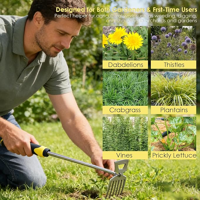 Weed Puller Tool, 3 Pack Weed Remover Tool, 6-Tine Uprooting Weeding Tools, Uprooting Puller & Crevice Weeder, Stainless Steel Garden Tools for Deep Roots, Farm & Backyard