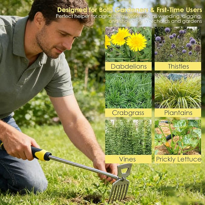 Weed Puller Tool, 3 Pack Weed Remover Tool, 6-Tine Uprooting Weeding Tools, Uprooting Puller & Crevice Weeder, Stainless Steel Garden Tools for Deep Roots, Farm & Backyard