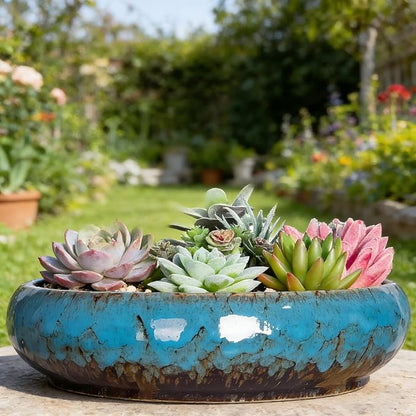 Succulent Pots, 10 Inch, Shallow Planter with Drainage for Succulent Planters, Bonsai Pots & Cactus Pots, Plant Pots, Ceramic Planters for Indoor Plants - Perfect for Home Offie Garden Decor, Blue
