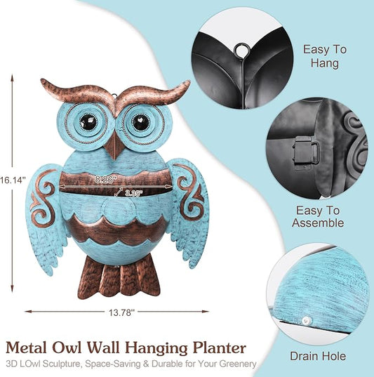 Owl Metal Wall Mount Planter, Hanging Succulent Flower Pot with Drainage | Farmhouse owl metal wall hanging pot garden succulent decorative planters, indoor outdoor hanging wall container