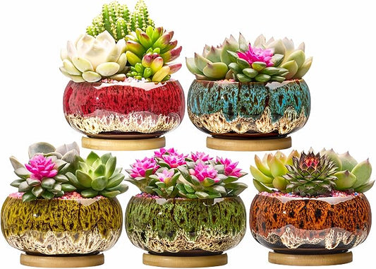 Cute Ceramic Succulent Garden Pots, Planter with Drainage and Attached Saucer, Set of 5 -Plants Not Included (Round+White Border)