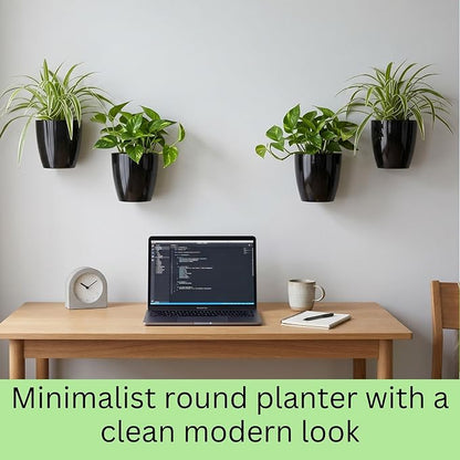 LaLaGreen Indoor Wall Planters (5in, 10 Pack) Self Watering Hanging Pots | Eco Wall Mounted Planter System Living Plant Holder Trendy Live Wall Garden Outdoor for Herb Garden Home Decor