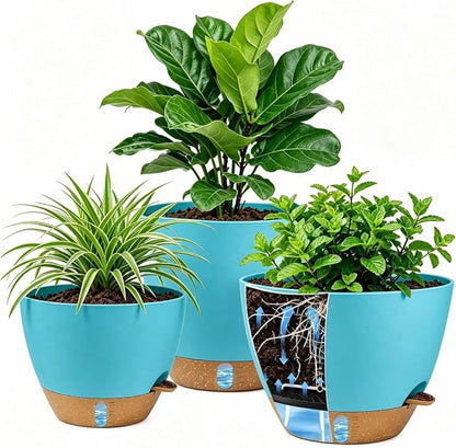 Ecolley Plant Pots 8/10/12 Inch Self Watering Pots, Set of 3 Plastic Planters with Drainage Holes and Saucers,Plastic Flower Pots,Nursery Planting Pot for Indoor Out Door PlantsBlue Green | Plastic Planters, Drainage Holes and Saucers, Indoor Outdoor U...