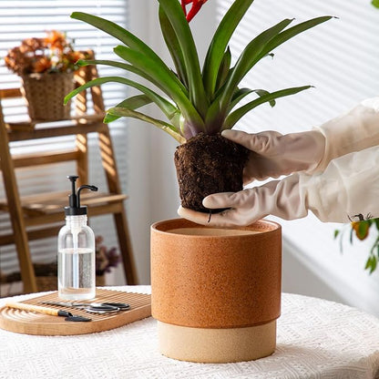 8 Inch Ceramic Self Watering Planter with Drainage Hole Terracotta | Indoor Plant Pot with Water Storage Plus - for African Violet, Herbs & Pothos - Home & Office Decor, Cylinder Round