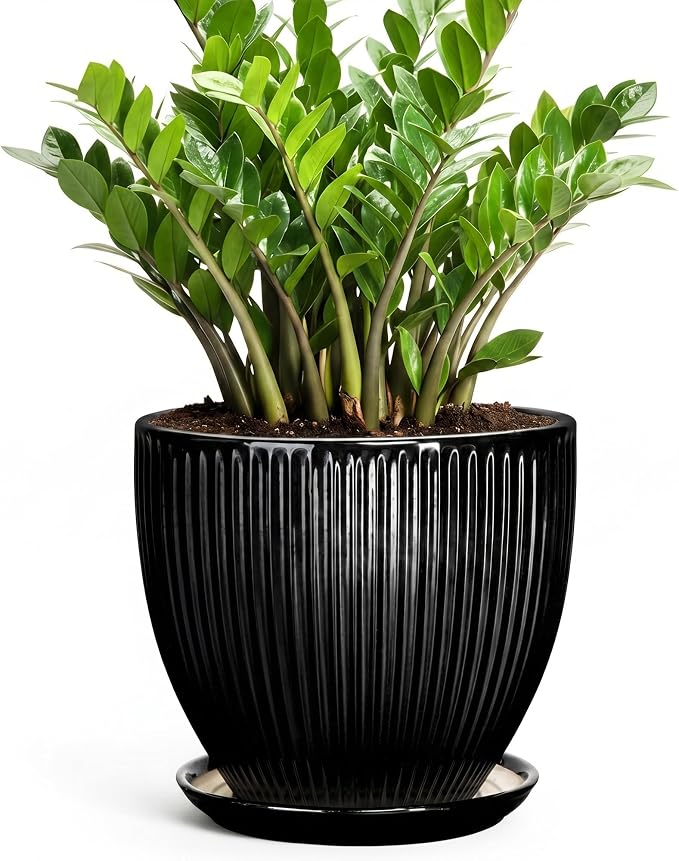 10 Inch Planter, Ceramic Plant Pots with Drainage Hole and Saucer, Large Decorative Planters for Indoor Plants, Modern Plant Pot, Round Flower Pot, House Bedroom Decor, Black