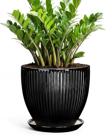 10 Inch Planter, Ceramic Plant Pots with Drainage Hole and Saucer, Large Decorative Planters for Indoor Plants, Modern Plant Pot, Round Flower Pot, House Bedroom Decor, Black