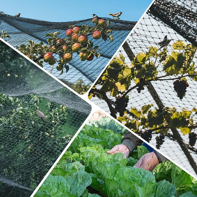 GWHOLE Black Garden Netting, 33 x13 Ft Bird Netting for Garden Plant and Tree Protection, Chicken Coop Pond Net, Black | Bird Net Reusable, 0.6 Inch Mesh Size, Protects Fruits Plants Tree, Protects From Animals, Chicken Coop Pond Net