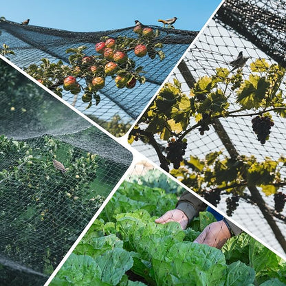 GWHOLE Black Garden Netting, 33 x13 Ft Bird Netting for Garden Plant and Tree Protection, Chicken Coop Pond Net, Black | Bird Net Reusable, 0.6 Inch Mesh Size, Protects Fruits Plants Tree, Protects From Animals, Chicken Coop Pond Net