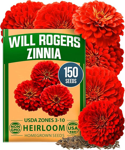 HOME GROWN Will Rogers Zinnia Seeds - 150 Zinnia Flower Seeds for Planting Outdoors - Tall Zinnia Elegans Cut Flowers - Heirloom Non-GMO Zinnia Seeds for 2026