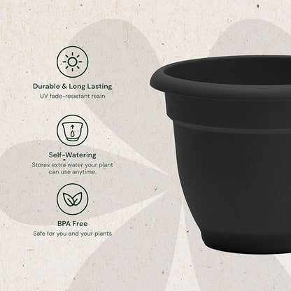 Bloem Ariana 10" Plastic Self-Watering Planter, Black | Self-watering disk at the bottom of the pot that acts as a water wick and reservoir for optimal plant health.