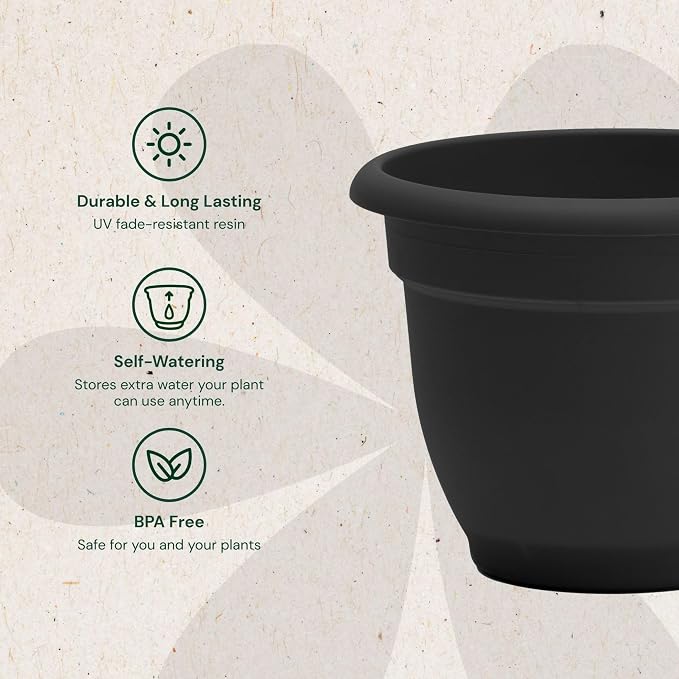 Bloem Ariana 12" Plastic Self-Watering Planter, Black, 2-Pack | Self-watering disk at the bottom of each pot that acts as a water wick and reservoir for optimal plant health