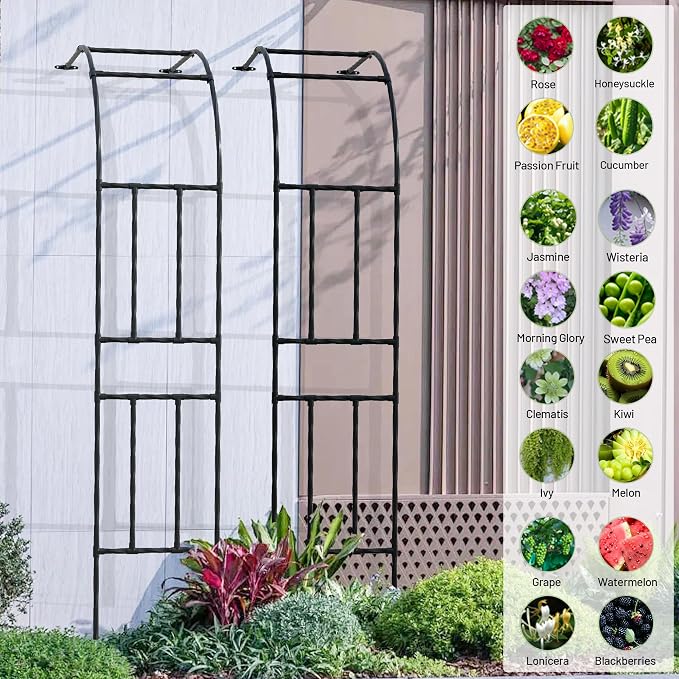 Half Sided Garden Arch, 24’’x94.5’’ Arbor Trellis, Trellis for Climbing Plants Outdoor, Garden Arch Arbor for Flower, Climbing Vine Vegetable, Fruit, Home Yard and Lawn(Black)