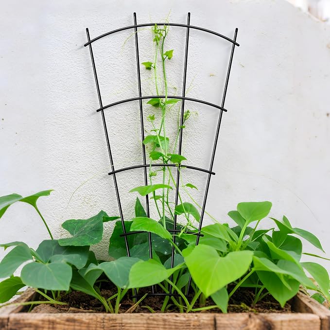 Thealyn 8 Pack 32" Metal Plant Trellis for Pots & Garden Beds, Rustproof Support for Indoor Outdoor Climbing Plants, Vines, Flowers, Fan Shaped, Black