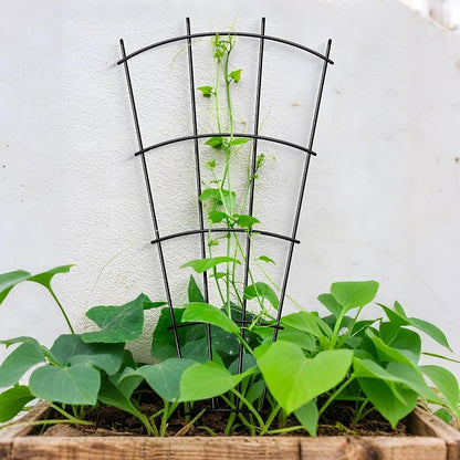Thealyn 8 Pack 32" Metal Plant Trellis for Pots & Garden Beds, Rustproof Support for Indoor Outdoor Climbing Plants, Vines, Flowers, Fan Shaped, Black