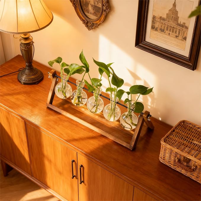 Renmxj Plant Propagation Stations with Wooden Stand & 5 Glass Bulb Vases | Plant Terrarium for Indoor Plants, Home Office Desk Decor, Gardening Gifts for Women Mom, Birthday Gifts for Plants Lovers