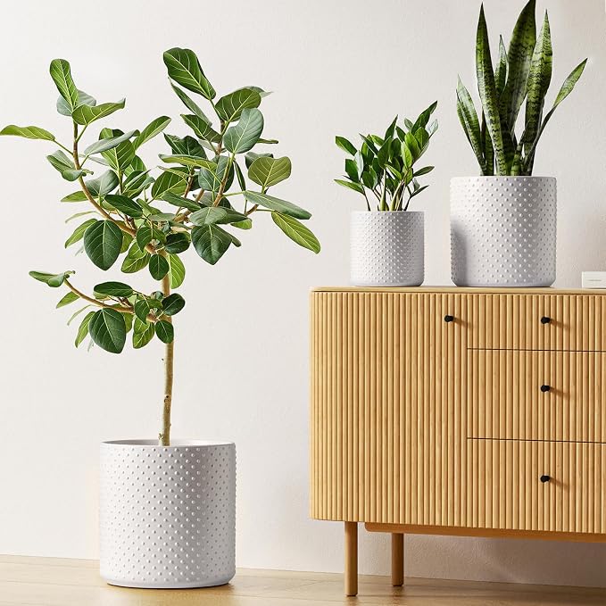 LE TAUCI 10+8+6 Inch Ceramic Pots for Plants, Indoor Planters with Drainage Hole and Plug, Raised Dots Cylinder Flower Pots Set of 3 for Living Room and Bedroom, Matte, White