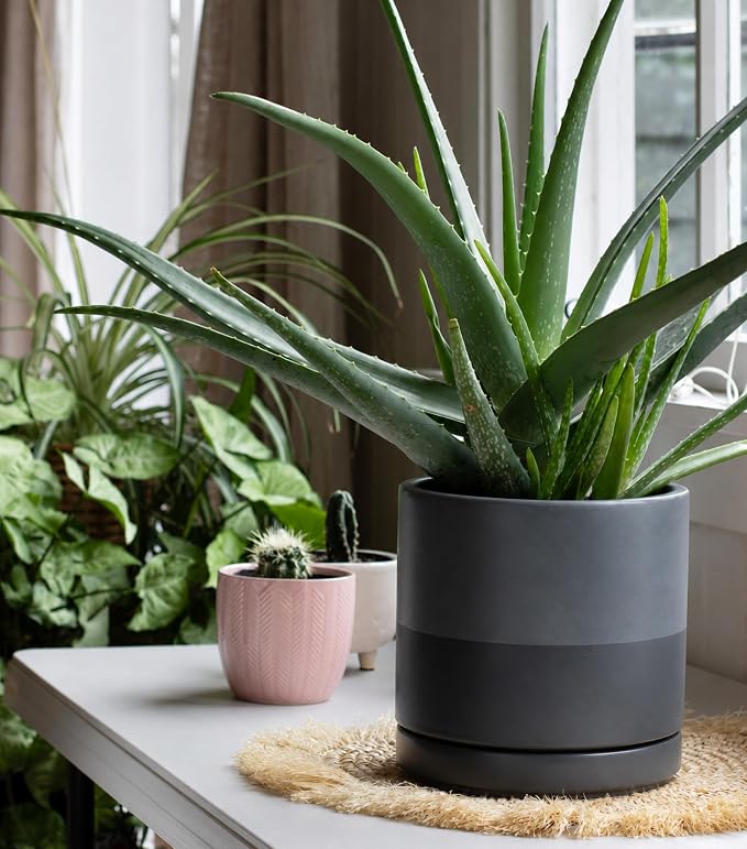 D'vine Dev 8 Inch Ceramic Planter Pot, Slate, 94-O-D-5 | Modern Cylinder Design, Drainage Hole & Saucer Included, Stable Structure, Elegant Home Accent