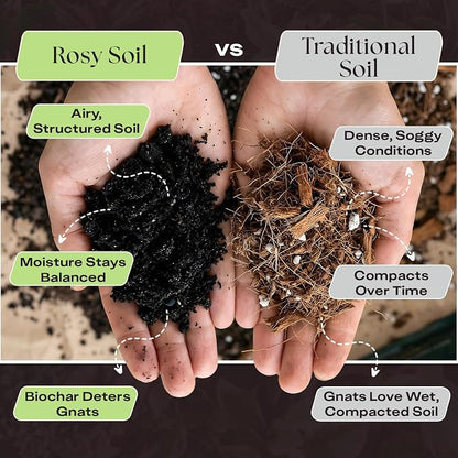 Rosy Soil Plant Food, Organic Fertilizer for Indoor Plants, 4 Quarts | Microbially Active Organic Indoor Plant Food, with Biochar, Kelp, Worm Castings, For Houseplants, Herbs & Flowers