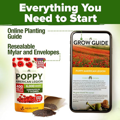 HOME GROWN American Legion Red Poppy Seeds - 6,000 Vibrant Wildflower Seeds for Planting Outdoors - Annual Poppy Flowers - Memorial Garden & Pollinator Friendly (Papaver rhoeas)