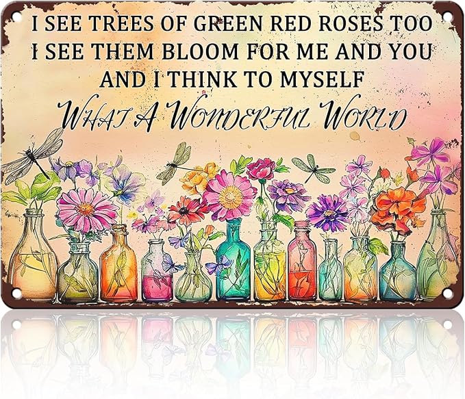 PEACHGARDEN Vintage Dragonfly Tin Sign What A Wonderful World Outdoor Garden Decor Gifts for Women House Kitchen Entryway Wall Art 8x12inch