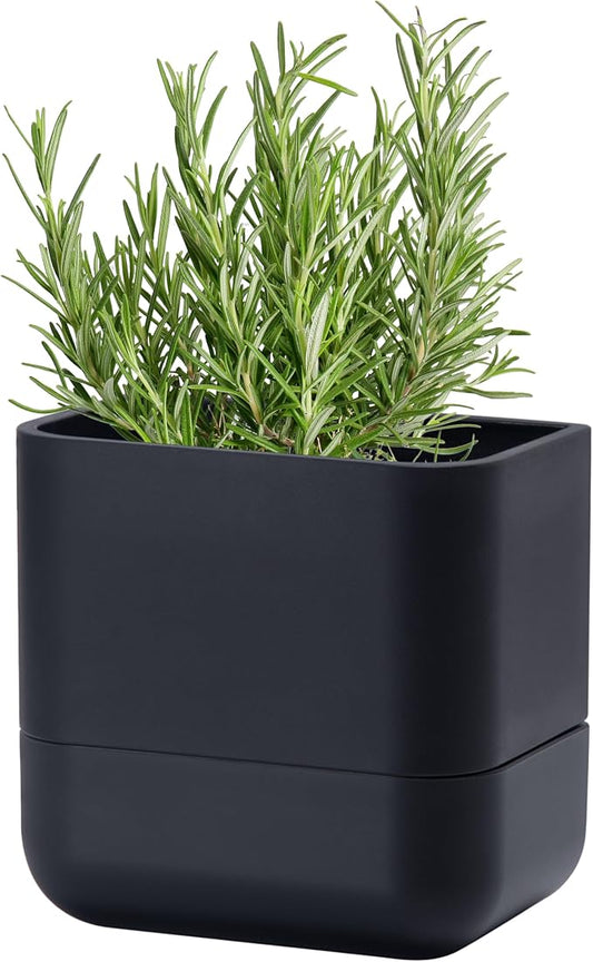 Phoenix Vine 6.5 Inch Wall Mounted Self-Watering Planter Pot for Indoor Houseplants and Herbs | Hanging Planter for Window Sills, Bathroom Walls, Home & Office Décor, Black, Set of 1, 01-C-E-1