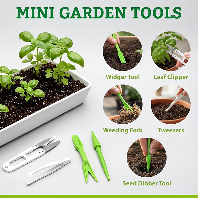 Vegetable/Herb Seeds Variety Pack - 30 Heirloom Seed Gift Kit - Made in USA