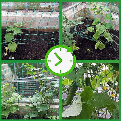 Trellis Netting for Climbing Plants - 2 Pack 7 x 10Ft Heavy Duty Garden Trellis Netting for Cucumber, Vine, Fruits & Vegetables Tomato Plants Trellis Net, Climbing Vining Plants