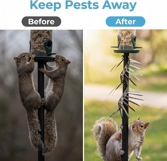 2m Anti-Bird/Squirrel Spikes & Squirrel Proof Baffle for Bird Feeders Pole | For Shepherd's Hooks, Outdoor Fence, Roofs, Tree & Drainpipes. Effectively Deterrent Pigeons, Raccoons, Snakes, Mice & Cats