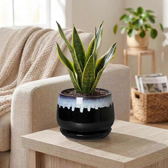 6 Inch Plant Pot - Ceramic Planters for Indoor Plants, Decorative Planter with Drainage Hole and Saucer, Round Flower Pots, Office Patio Decor, Gifts for Gardeners Woman, Black-Blue