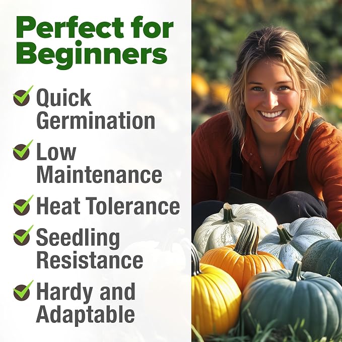 HOME GROWN Pumpkin Seeds 5 Variety Mix 40+ Heirloom Non-GMO, High Germination, Connecticut Field, Blue, White & Mini Pumpkins,Edible & Jack O Lanterns,Autumn Harvest,Ornamental Garden (Cucurbita pepo)