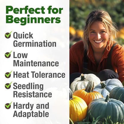 HOME GROWN Pumpkin Seeds 5 Variety Mix 40+ Heirloom Non-GMO, High Germination, Connecticut Field, Blue, White & Mini Pumpkins,Edible & Jack O Lanterns,Autumn Harvest,Ornamental Garden (Cucurbita pepo)