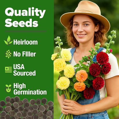 HOME GROWN Hollyhock Summer Carnival Mix Flower Seeds – Alcea Rosea, Premium Annual Flower Seeds, 1000 Seeds for Planting Flowers, High-Germination Flower Seed Bulk Pack