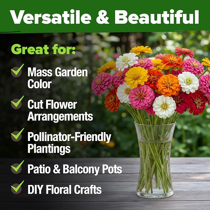 HOME GROWN Zinnia Seeds Mix – 4300 Pumila Compact Zinnia Flower Seeds for Planting Outdoors | Bulk Colorful Annual Cut Flowers for Summer Gardens & Containers (Zinnia elegans)
