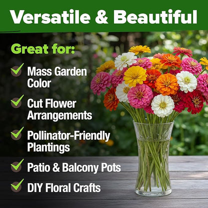 HOME GROWN Zinnia Seeds Mix – 4300 Pumila Compact Zinnia Flower Seeds for Planting Outdoors | Bulk Colorful Annual Cut Flowers for Summer Gardens & Containers (Zinnia elegans)