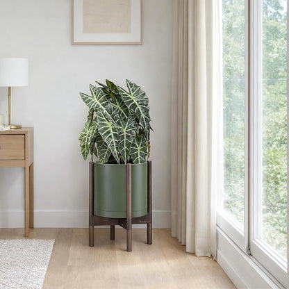 D'vine Dev Plastic Pot with Walnut Wood Stand, Olive, 10 in, 55-C-L-3 | Mid-Century Inspired Design, Elevated Plant Display, Clean Lines, Sturdy Support, Modern Space-Saving Style