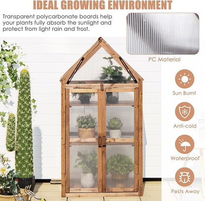 GRAFFY Wooden Cold Frame Greenhouse, Portable Raised Flower Planter Shelf with 3 Removable shelves and Transparent Flip-Top Roof, Mini Greenhouse Cabinet for Outdoor Indoor Use(27" L x 16" W x 58" H )