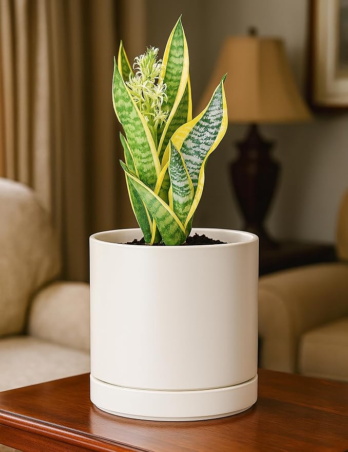 D'vine Dev 6.5 Inch Ceramic Planter Pot, Oatmeal, 94-O-C-8 | Modern Cylinder Design, Drainage Hole & Saucer Included, Stable Structure, Elegant Home Accent