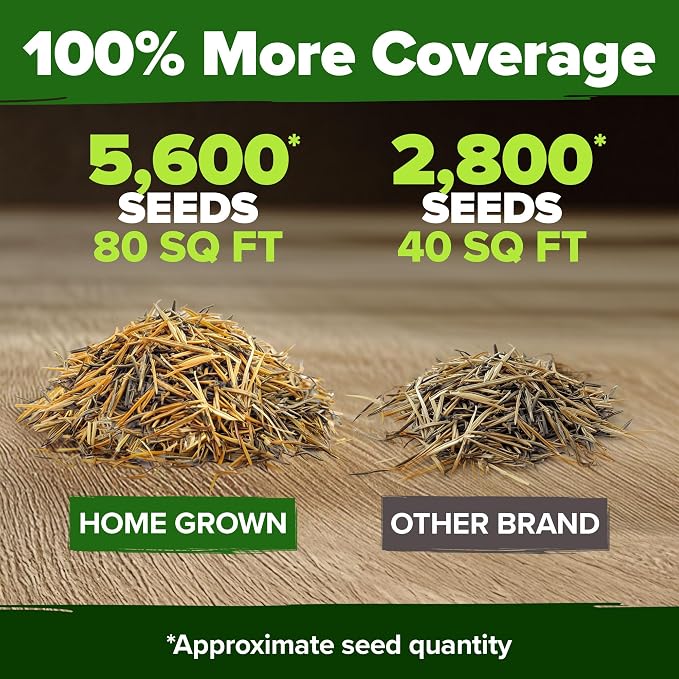 HOME GROWN Marigold Seeds Bulk Mix - 5600+ Crackerjack Marigold Flower Seeds for Planting Outdoors -Flowers Seed for Companion Planting -Wildflower African Marigold(Tagetes erecta)