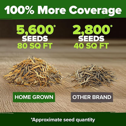 HOME GROWN Marigold Seeds Bulk Mix - 5600+ Crackerjack Marigold Flower Seeds for Planting Outdoors -Flowers Seed for Companion Planting -Wildflower African Marigold(Tagetes erecta)