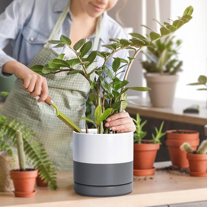 D'vine Dev 6.5 Inch Ceramic Planter Pot, White/Grey, 94-O-C-6 | Modern Cylinder Design, Drainage Hole & Saucer Included, Stable Structure, Elegant Home Accent