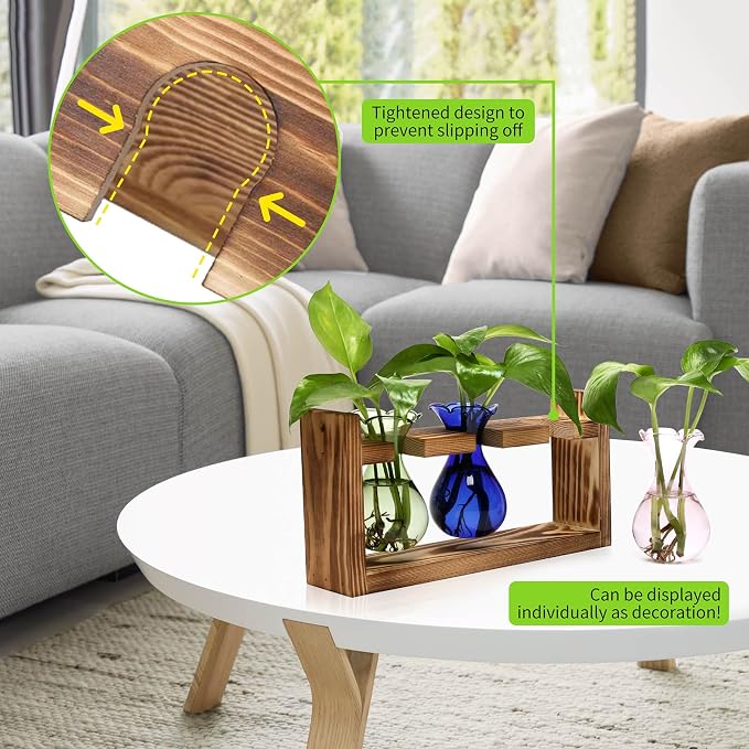 Plant Propagation Station Plant Terrarium Unique Birthday Gifts for Women | Plant Lovers Home Office Decor Planter with Wooden Stand - 3 Bulb Glass Vase