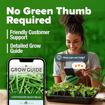 HOME GROWN Contender Bush Bean Seeds 28+ Heirloom Non-GMO, High Germination, Stringless Green Beans for Planting, Early Harvest, Emergency Food Supply, Fresh Eating & Canning (Phaseolus vulgaris)