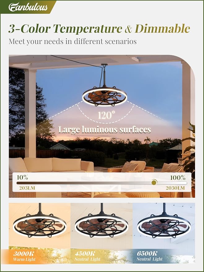 Fanbulous Outdoor Ceiling Fans with Light for Patios, 24" Weatherproof Plug in Ceiling Fan, Gazebo Fan Remote&APP Control, 3CCT Dimmable, Caged Ceiling Fan with Hanging Hook for Porch, Pergola, Canopy
