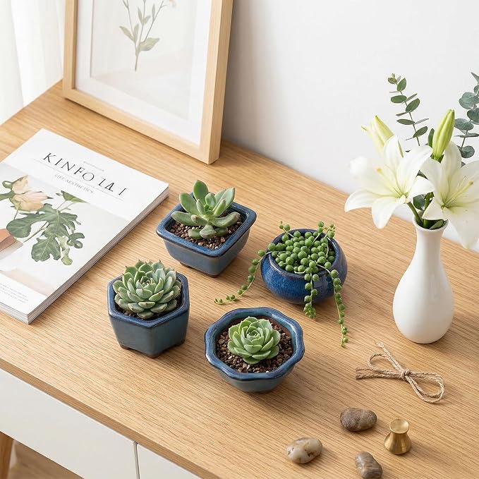 6 Pack Bonsai Pot Planter, 3" 4" Ceramic Glazed Succulent Pots | Small Succulent Planters with Drainage, for Indoor Outdoor Plants, Cactus, Flowers