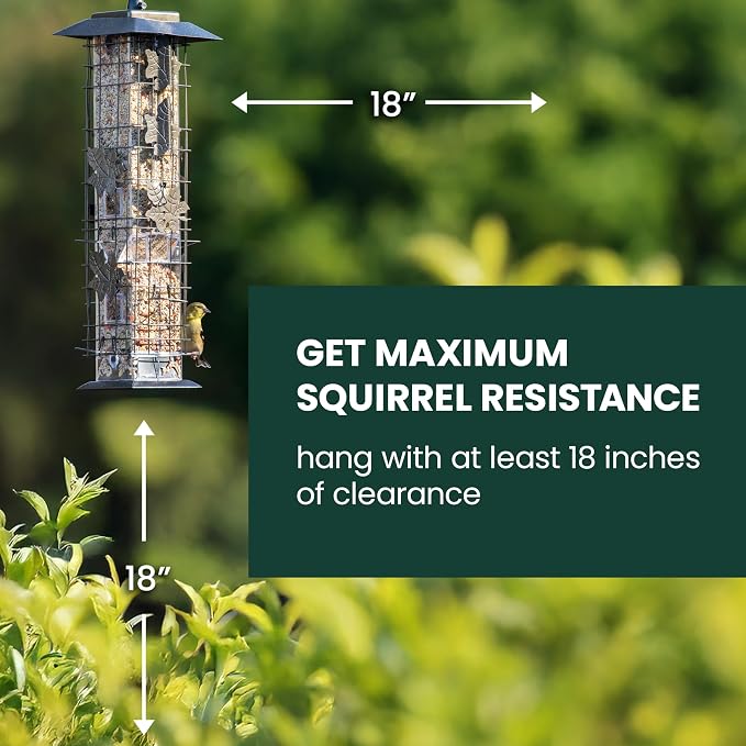 Perky-Pet 336-1SR Squirrel-Be-Gone Squirrel Proof Bird Feeder, 2LB, Outdoor Wild Bird Feeder with Weight-Activated Perches