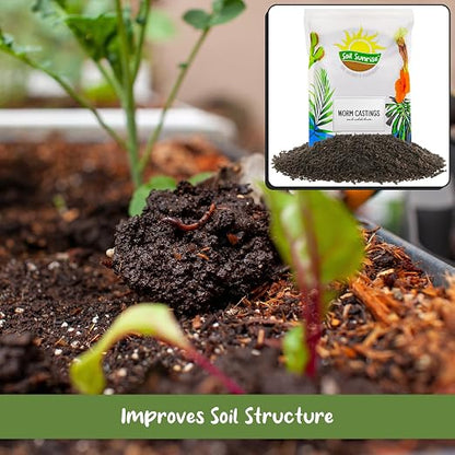 Soil Sunrise Premium Organic Worm Castings (8 Pounds) 8QT All Natural Soil Additive, Soil Builder, and Fertilizer